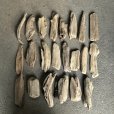 画像2: 格安流木お得セット●南信州産 淡水天然流木【S〜Mサイズ】２２個セット まとめ売り 通販 格安セット 流木【チランジア着床・ドライフラワー・ディスプレイ・インテリア】 (2)