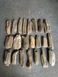 格安流木お得セット●南信州産 淡水天然流木【S〜Mサイズ】２２個セット まとめ売り 通販 格安セット 流木【チランジア着床・ドライフラワー・ディスプレイ・インテリア】