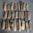 画像1: 格安流木お得セット●南信州産 淡水天然流木【S〜Mサイズ】２２個セット まとめ売り 通販 格安セット 流木【チランジア着床・ドライフラワー・ディスプレイ・インテリア】 (1)