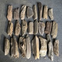 格安流木お得セット●南信州産 淡水天然流木【S〜Mサイズ】２２個セット まとめ売り 通販 格安セット 流木【チランジア着床・ドライフラワー・ディスプレイ・インテリア】