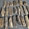 画像2: 格安流木お得セット●南信州産 淡水天然流木【S〜Mサイズ】２２個セット まとめ売り 通販 格安セット 流木【チランジア着床・ドライフラワー・ディスプレイ・インテリア】 (2)