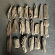 画像1: 格安流木お得セット●南信州産 淡水天然流木【S〜Mサイズ】２２個セット まとめ売り 通販 格安セット 流木【チランジア着床・ドライフラワー・ディスプレイ・インテリア】 (1)