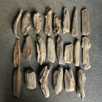 格安流木お得セット●南信州産 淡水天然流木【S〜Mサイズ】２２個セット まとめ売り 通販 格安セット 流木【チランジア着床・ドライフラワー・ディスプレイ・インテリア】