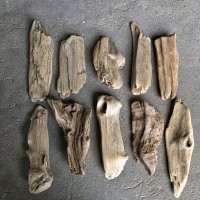 格安流木お得セット●南信州産 淡水天然流木【M大〜Ｌサイズ】１０個セット まとめ売り 通販 格安セット 流木【チランジア着床・ドライフラワー・ディスプレイ・インテリア】