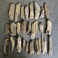 格安流木お得セット●南信州産 淡水天然流木【S〜Mサイズ】２２個セット まとめ売り 通販 格安セット 流木【チランジア着床・ドライフラワー・ディスプレイ・インテリア】