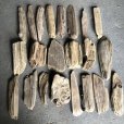 画像2: 格安流木お得セット●南信州産 淡水天然流木【S〜Mサイズ】２２個セット まとめ売り 通販 格安セット 流木【チランジア着床・ドライフラワー・ディスプレイ・インテリア】 (2)
