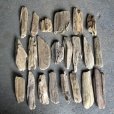 画像1: 格安流木お得セット●南信州産 淡水天然流木【S〜Mサイズ】２２個セット まとめ売り 通販 格安セット 流木【チランジア着床・ドライフラワー・ディスプレイ・インテリア】 (1)