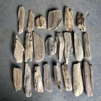 格安流木お得セット●南信州産 淡水天然流木【S〜Mサイズ】２２個セット まとめ売り 通販 格安セット 流木【チランジア着床・ドライフラワー・ディスプレイ・インテリア】