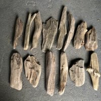 格安流木お得セット●南信州産 淡水天然流木【S〜Mサイズ】１４個セット まとめ売り 通販 格安セット 流木【チランジア着床・ドライフラワー・ディスプレイ・インテリア】