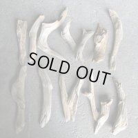 格安流木お得セット●南信州産 淡水天然流木【S〜Mサイズ】１１個セット まとめ売り 通販 格安セット 流木【チランジア着床・ドライフラワー・ディスプレイ・インテリア】