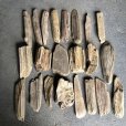 画像1: 格安流木お得セット●南信州産 淡水天然流木【S〜Mサイズ】２２個セット まとめ売り 通販 格安セット 流木【チランジア着床・ドライフラワー・ディスプレイ・インテリア】 (1)