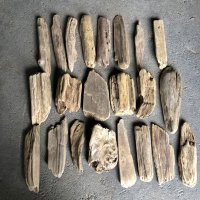格安流木お得セット●南信州産 淡水天然流木【S〜Mサイズ】２２個セット まとめ売り 通販 格安セット 流木【チランジア着床・ドライフラワー・ディスプレイ・インテリア】