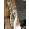 画像14: 【特大流木】 南信州産 源流淡水 天然流木 特上品（ 約１４４×２７×１６cm）大型流木
