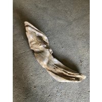 【特大流木】南信州産 源流淡水 天然流木（ 約９３×２８×２４cm）大型流木 特大流木 大きな流木