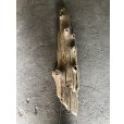 画像5: 【特大流木】南信州産 源流淡水 天然流木（ 約１１３×９〜２３cm）大型流木 特大流木 大きな流木 (5)