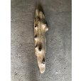 画像1: 【特大流木】南信州産 源流淡水 天然流木（ 約１１３×９〜２３cm）大型流木 特大流木 大きな流木 (1)
