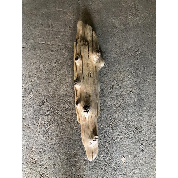 画像1: 【特大流木】南信州産 源流淡水 天然流木（ 約１１３×９〜２３cm）大型流木 特大流木 大きな流木