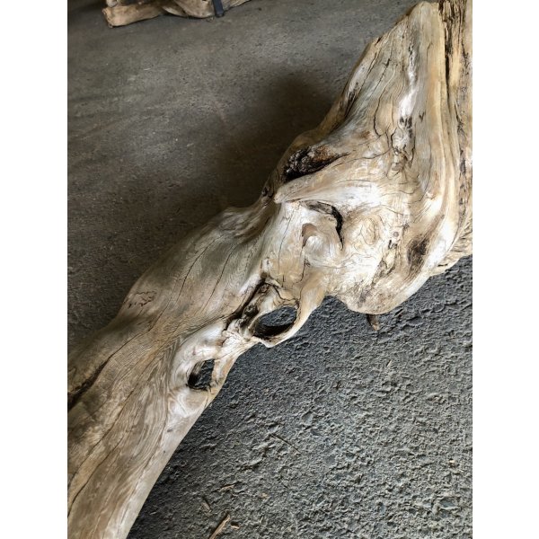 画像4: 【特大流木】南信州産 源流淡水 天然流木（ 約９３×２８×２４cm）大型流木 特大流木 大きな流木