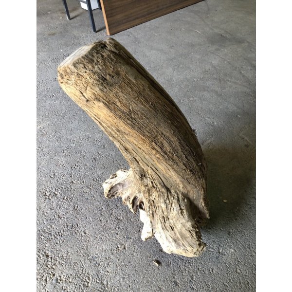 画像4: 【特大流木】南信州産 源流淡水 天然流木（ 約６５×４５×４９cm）大型流木 特大流木 大きな流木  根流木