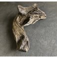 画像3: 【絶品】【特大流木】南信州産 源流淡水 天然流木（ 約１１０×５０×８0cm）大型流木 根流木 特大流木 大きな流木 変形流木 (3)