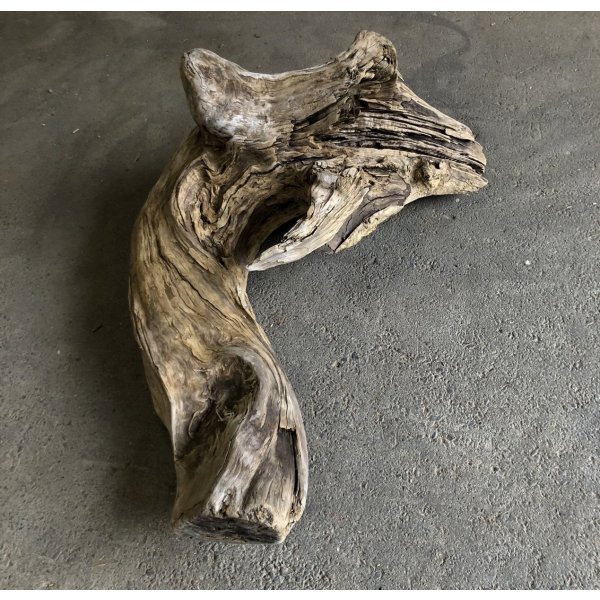 画像3: 【絶品】【特大流木】南信州産 源流淡水 天然流木（ 約１１０×５０×８0cm）大型流木 根流木 特大流木 大きな流木 変形流木