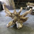 画像3: 【特大流木】南信州産 源流淡水 天然流木（ 約１０４×８６×５０cm）大型流木 特大流木 大きな流木  根流木 (3)