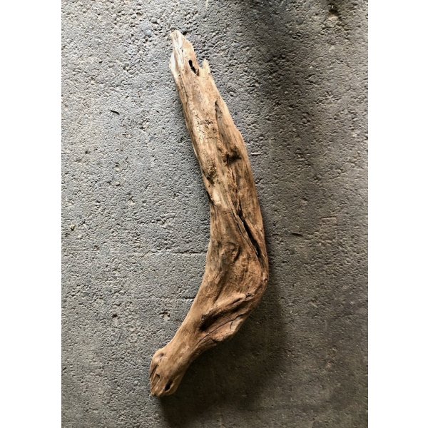 画像3: 【特大流木】南信州産 源流淡水 天然流木（ 約１０２×８〜１７cm）大型流木 特大流木 大きな流木