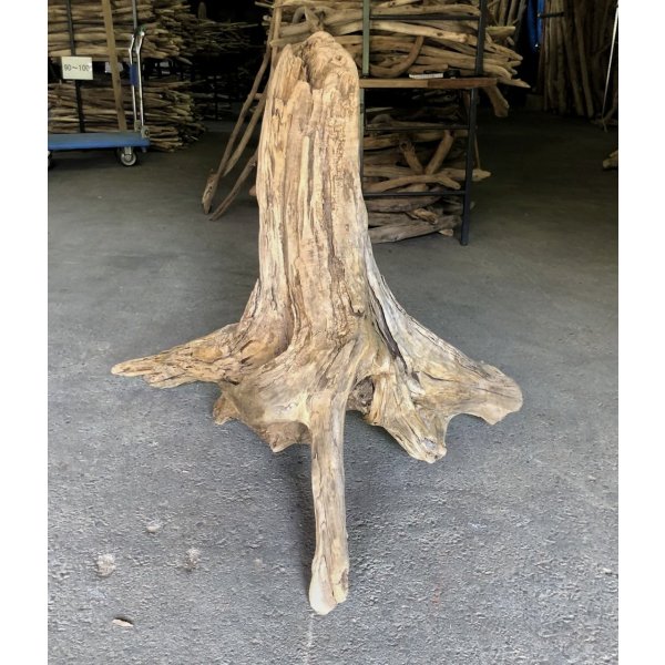 画像1: 【特大流木】南信州産 源流淡水 天然流木（ 約９５×７３×８５cm）大型流木 特大流木 大きな流木  根流木