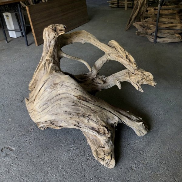 画像4: 【特選絶品】【特大流木】南信州産 源流淡水 天然流木（ 約９７×１０５×４０cm）大型流木 特大流木 大きな流木  根流木