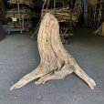 画像2: 【特大流木】南信州産 源流淡水 天然流木（ 約９５×７３×８５cm）大型流木 特大流木 大きな流木  根流木 (2)