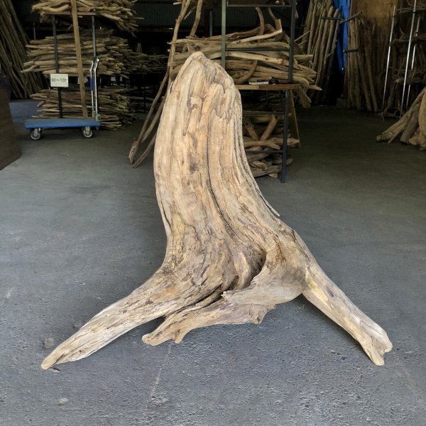画像2: 【特大流木】南信州産 源流淡水 天然流木（ 約９５×７３×８５cm）大型流木 特大流木 大きな流木  根流木