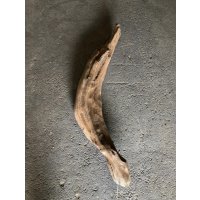 【特大流木】南信州産 源流淡水 天然流木（ 約１０２×８〜１７cm）大型流木 特大流木 大きな流木