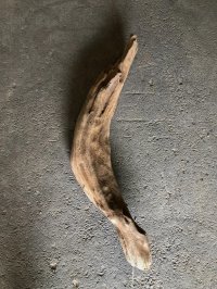 【特大流木】南信州産 源流淡水 天然流木（ 約１０２×８〜１７cm）大型流木 特大流木 大きな流木
