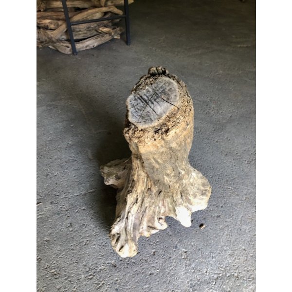 画像3: 【特大流木】南信州産 源流淡水 天然流木（ 約６５×４５×４９cm）大型流木 特大流木 大きな流木  根流木