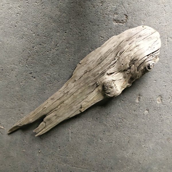 画像3: 【特大流木】南信州産 源流淡水 天然流木（ 約１２２×３１cm）大型流木 特大流木 大きな流木  