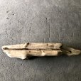 画像3: 【特大流木】南信州産 源流淡水 天然流木（ 約１１３×９〜２３cm）大型流木 特大流木 大きな流木 (3)