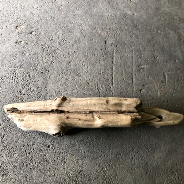画像3: 【特大流木】南信州産 源流淡水 天然流木（ 約１１３×９〜２３cm）大型流木 特大流木 大きな流木