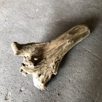 【特大流木】南信州産 源流淡水 天然流木（ 約７３×４３×３０cm）大型流木 特大流木 大きな流木 根流木