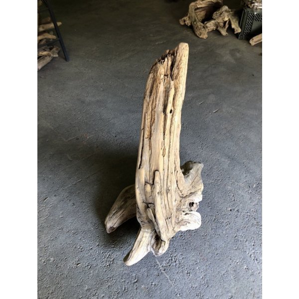 画像3: 【特大流木】南信州産 源流淡水 天然流木（ 約９９×６６×４０cm）大型流木 特大流木 大きな流木  根流木