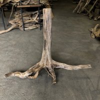 【特大流木】南信州産 源流淡水 天然流木（ 約１１６×９６×５３cm）大型流木 根流木 特大流木 大きな流木 変形流木