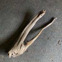 【特大流木】南信州産 源流淡水 天然流木（ 約１１４×３０cm）大型流木 特大流木 大きな流木 