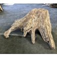 画像1: 【特大流木】南信州産 源流淡水 天然流木（ 約１０４×８６×５０cm）大型流木 特大流木 大きな流木  根流木 (1)
