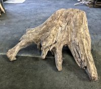 【特大流木】南信州産 源流淡水 天然流木（ 約１０４×８６×５０cm）大型流木 特大流木 大きな流木  根流木