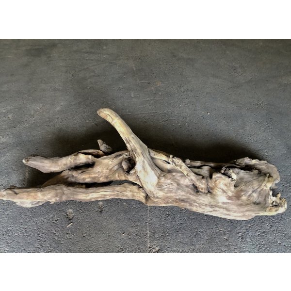 画像2: 【特大流木】南信州産 源流淡水 天然流木（ 約１２４×４０×３８cm）大型流木 特大流木 大きな流木 変形流木