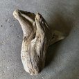 画像4: 【特大流木】南信州産 源流淡水 天然流木（ 約８５×５５×８３cm）大型流木 特大流木 大きな流木  根流木 (4)