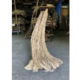画像2: 【特大流木】南信州産 源流淡水 天然流木（ 約９９×６６×４０cm）大型流木 特大流木 大きな流木  根流木 (2)