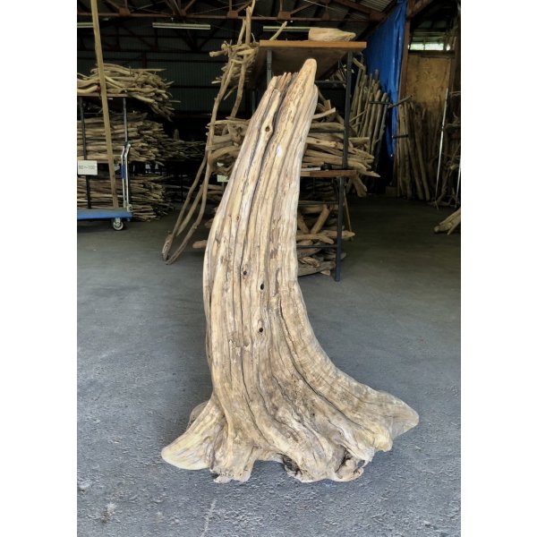 画像2: 【特大流木】南信州産 源流淡水 天然流木（ 約９９×６６×４０cm）大型流木 特大流木 大きな流木  根流木