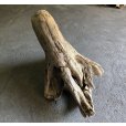 画像2: 【特大流木】南信州産 源流淡水 天然流木（ 約８５×５５×８３cm）大型流木 特大流木 大きな流木  根流木 (2)