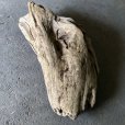 画像3: 【特大流木】南信州産 源流淡水 天然流木（ 約１０６×４５×２１cm）大型流木 特大流木 大きな流木  根流木 (3)
