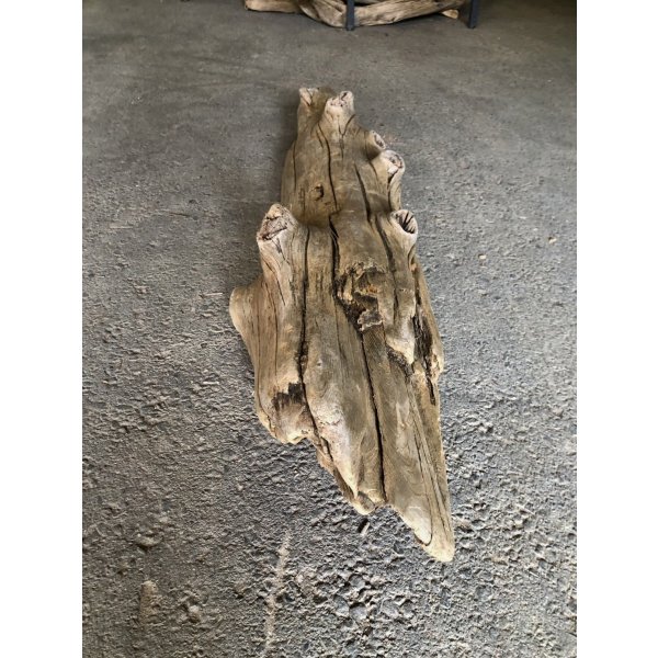 画像4: 【特大流木】南信州産 源流淡水 天然流木（ 約１１３×９〜２３cm）大型流木 特大流木 大きな流木